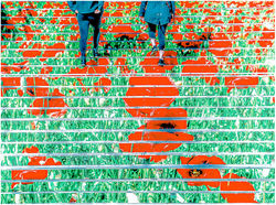 10. On the meadow steps, Museum of History & Culture