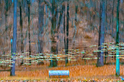 18. Lake bench waterskin, FHP