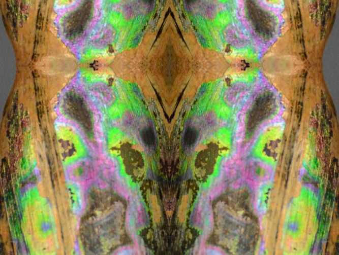 JM 2016 cpyrtd DSC_1928 Bottle Multi 4 parts use this one 10x15 rszd_edited