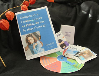 mallette téléchargement.jpg