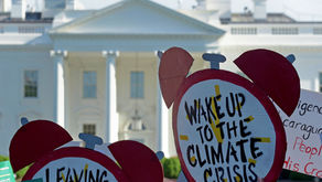 United States Officially Withdraws from the Paris Agreement - Selin Kumbaracı