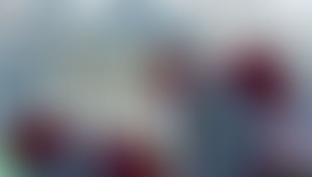 United States Officially Withdraws from the Paris Agreement - Selin Kumbaracı