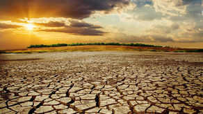 Climate Change and Infectious Diseases - Mihael Gubas
