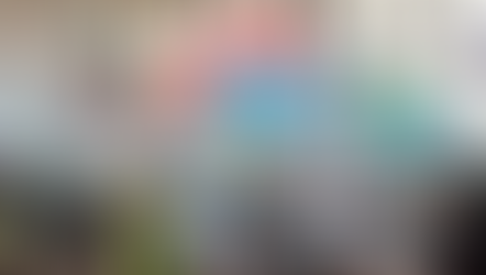 France’s Forthcoming Climate Bill: Much needed changes or PR stunt? - Selin Kumbaracı