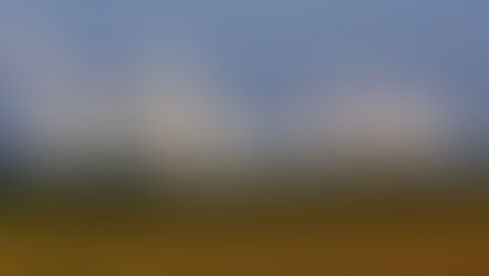 Japan’s Nuclear Questıon - Part II: The ‘Nuclear Village’ - Hikmet can Çakan