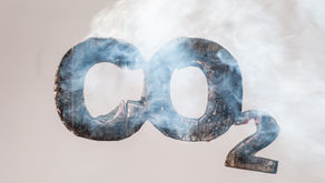 CO2 Emissions During The World Pandemic - Mihael Gubas