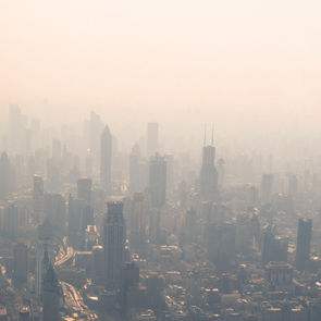 Carbon Pricing: Why Does It Work In Theory But Not Reality? - Büşra Öztürk