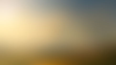 Turkey’s Energy Demand and Its Effect to Environment - Yiğit Mert Yüreklitürk