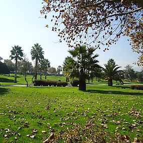 800px-Parque_De_Los_reyes_2016.jpg
