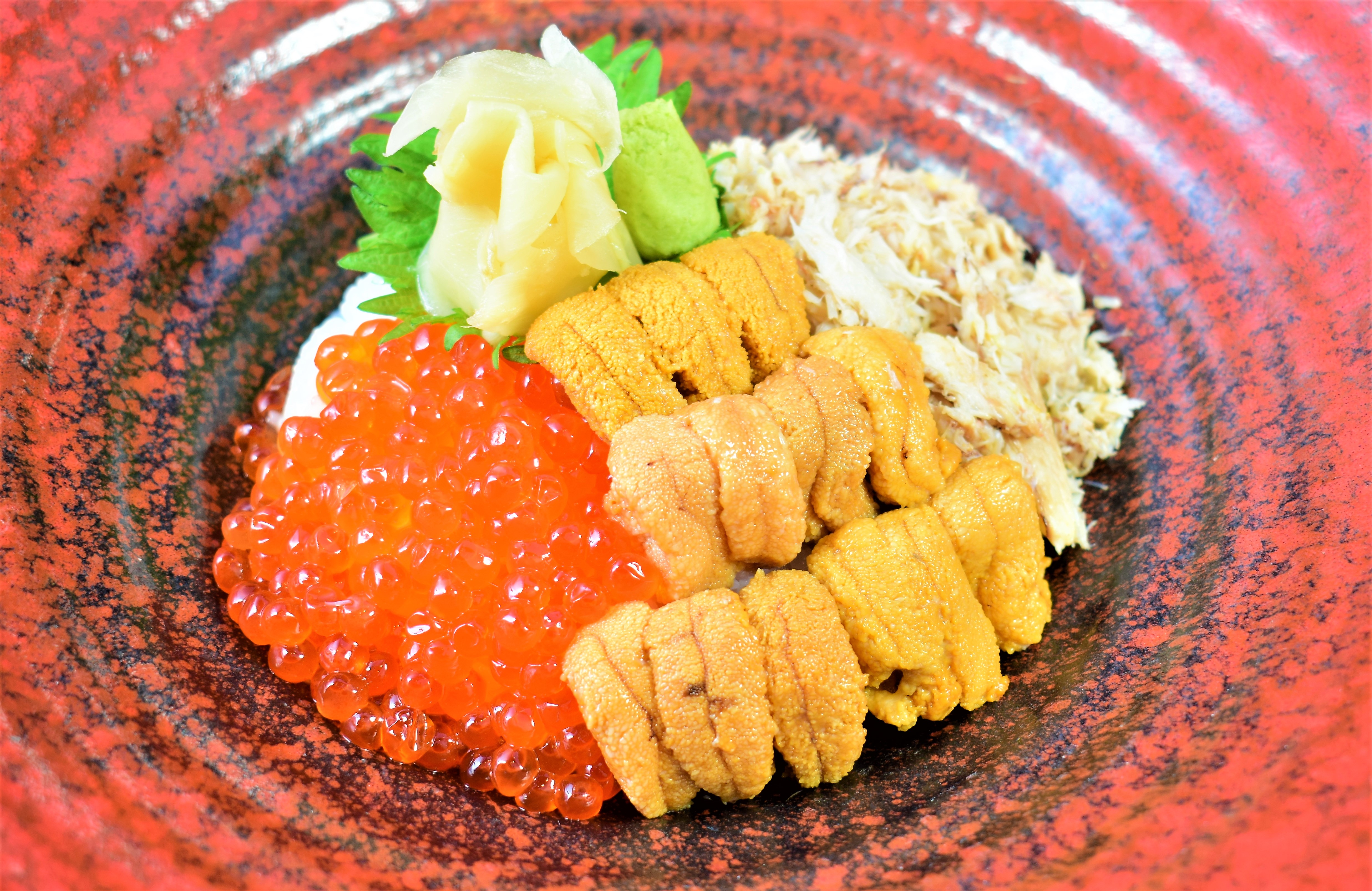 TsuruTonTan USA Udon Noodle Brasserie