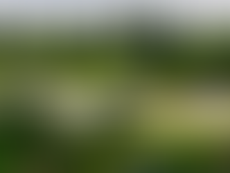 SES and INRED partner to bridge digital divide in Colombia’s Amazonas region