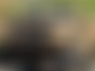 $1.1 Billion contract: General Dynamics to supply Canadian Army with advanced logistics vehicles