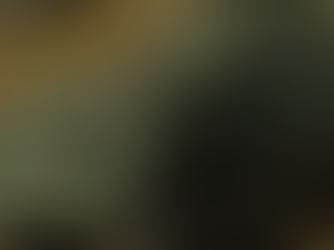 Bohemia Interactive Australia secures NZDF contract to improve VBS4 and enhance armoured vehicle models