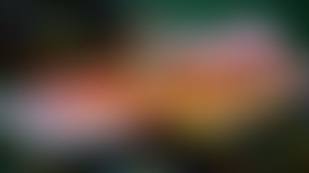 Trik Bermain Togel Agar Menang Terus