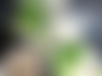 Bật mí các loại nguyên liệu nấu phở ngon chuẩn vị