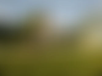 Atividade do dia 28 de maio de 2016