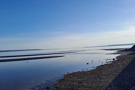 Water 7.jpg