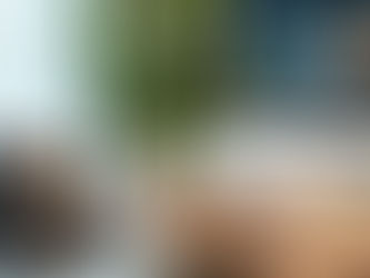 A modern environment office with a plant, laptop and tv that says mindset.