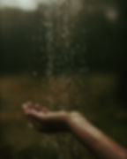 a hand held open and collecting water 