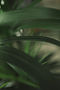 DTS_TERRA_Chris_Abatzis_Photos_ID13248.jpg