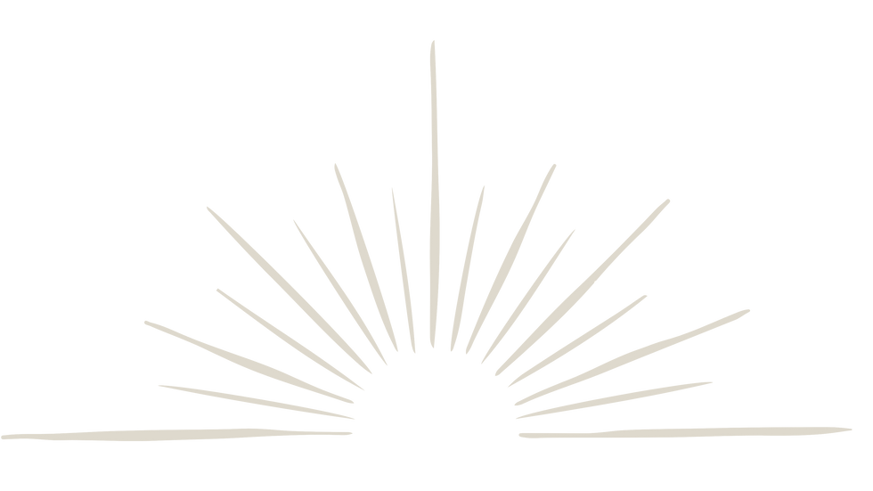 Medicine Womyn Website Graphics (1).png