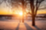 Snowy landscape with bare trees silhouetted by a sunset. Golden sunlight casts long shadows over the snow, creating a tranquil scene in Vermont