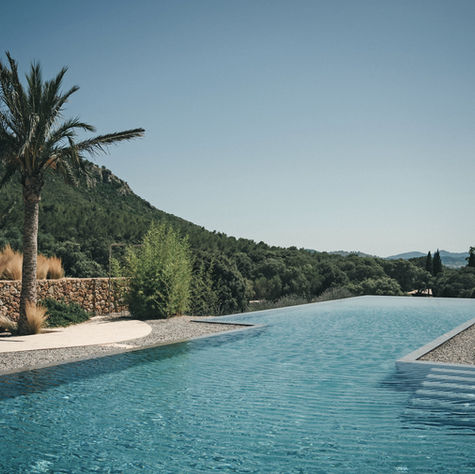 outdoor infinity pool and palm tree es raco literally just girls majorca retreat