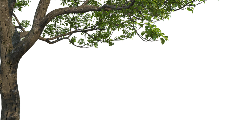 tree decorative image