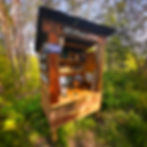 mountain hollow medicinals.jpg