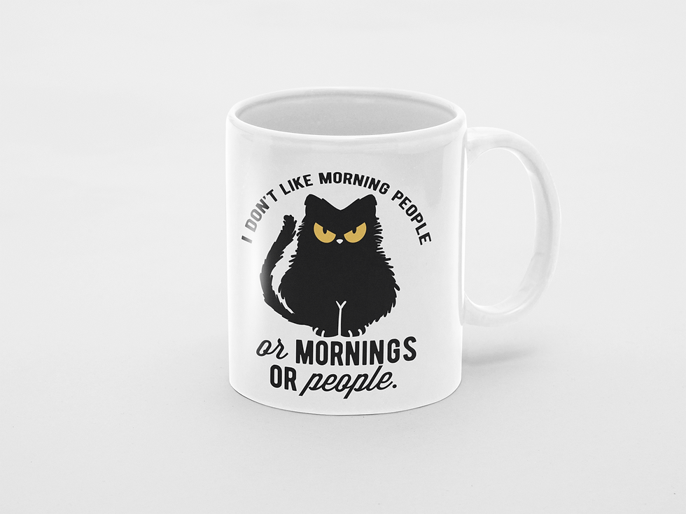 Thumbnail: NOT A MORNING CAT