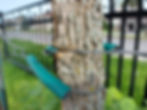 Example of a tree tie left on too long. The wire has begun to cut into the bark, restricting growth and causing lasting damage to the trunk. Photo credit: Julie Boudreau