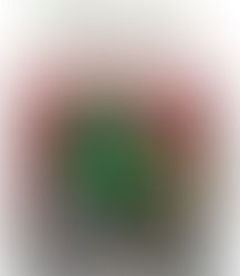 The Most Miserable Christmas Tree