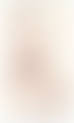 2016 Weintraub Scholarship Application Now Available