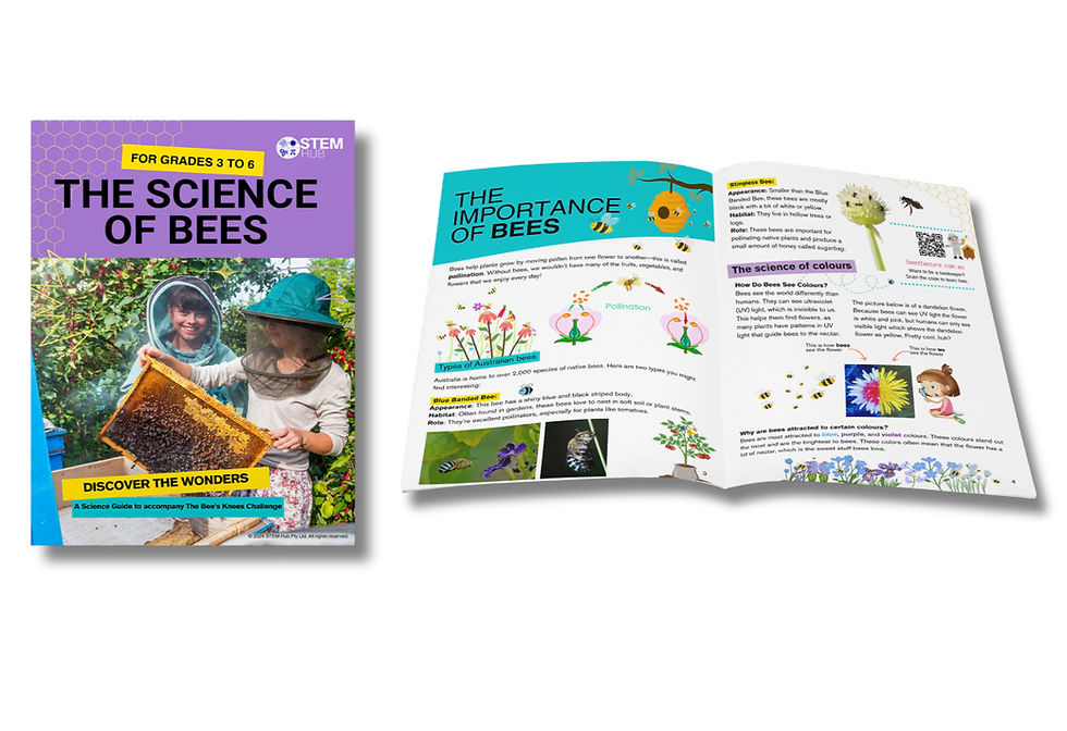 Thumbnail: The Bee's Knees: Building Buzzing Gardens - Complete STEM Resource Kit