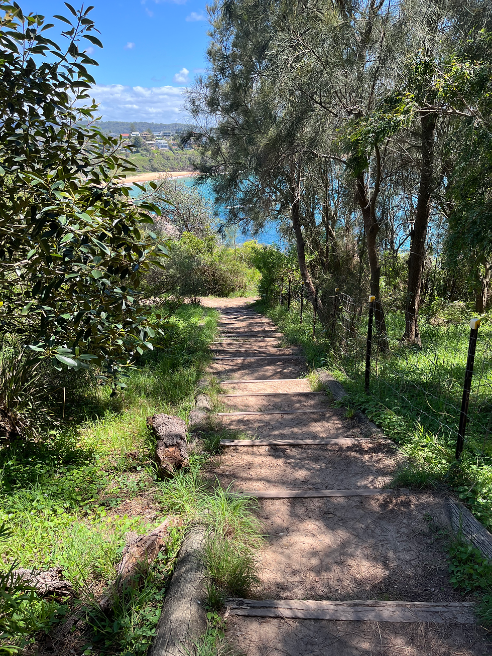 Mona Vale to Narrabeen Walk