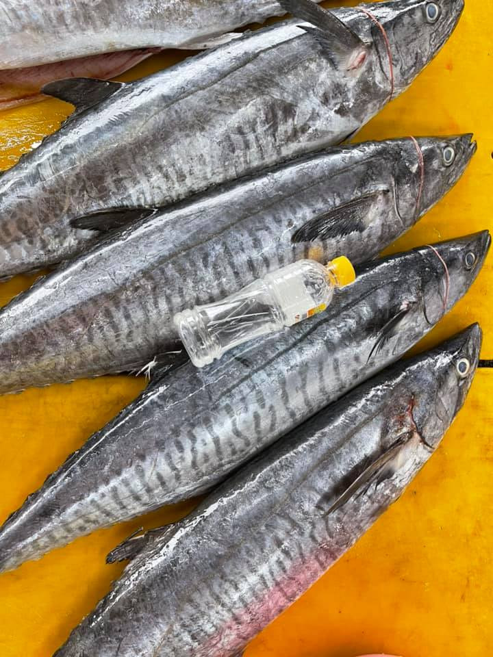 Thumbnail: Batang Fish (巴当鱼)