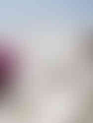 Masseria Don Luigi, Hochzeit Apulien, Hochzeitslocation Puglia, Hochzeitslocation Apulien, Hochzeitsplaner Apulien