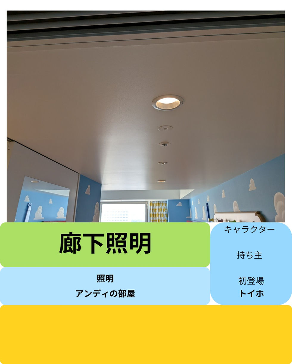 廊下照明 (2).JPG