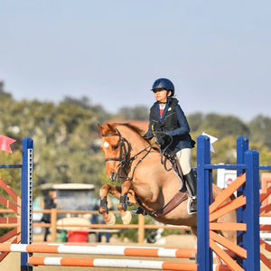 Equestrian Achievements