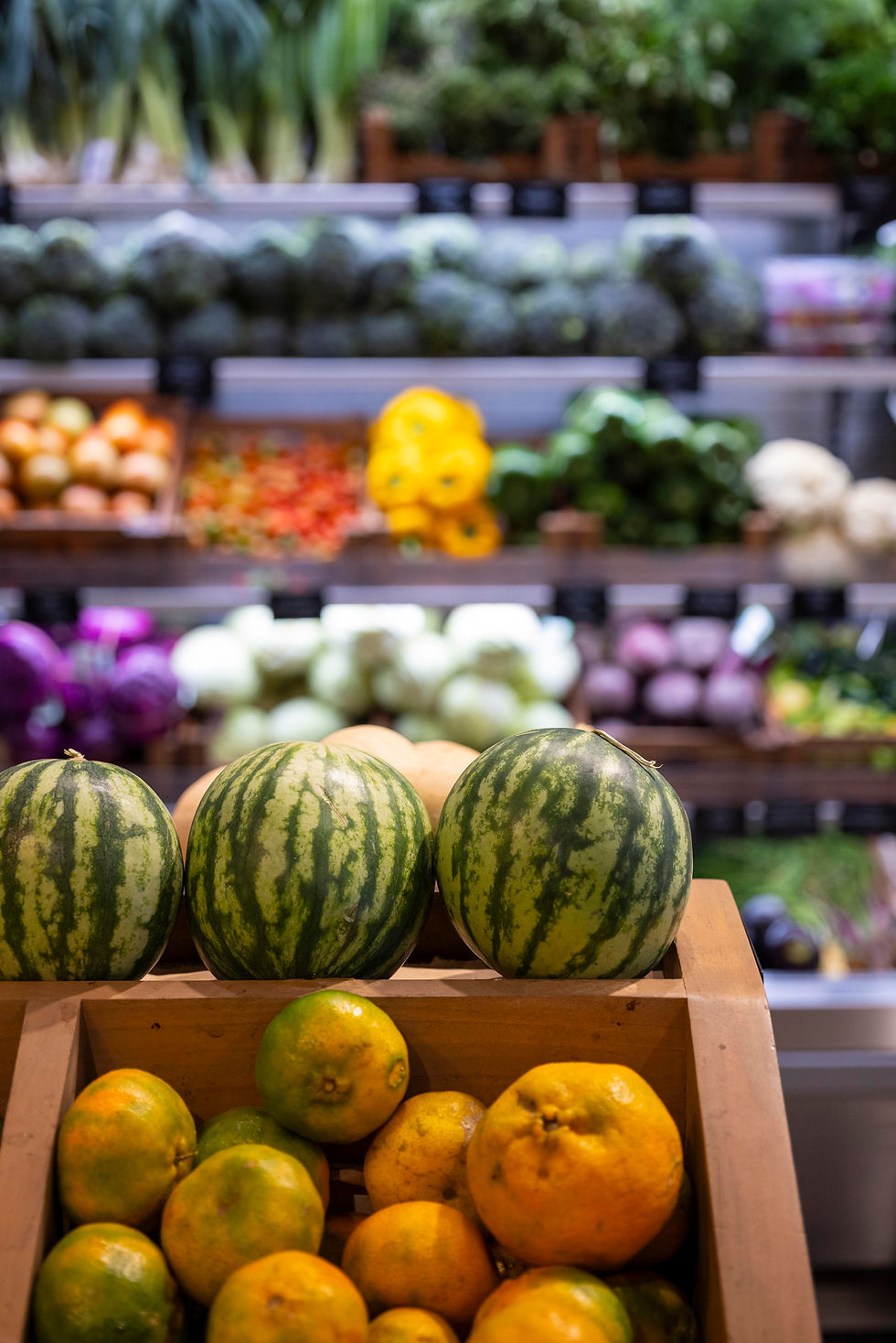 Organico in Guiones designed by Origen Architecture