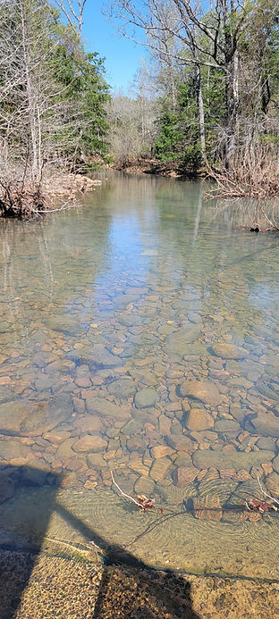 20230402_105336.jpg