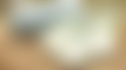 All About Winter Melon