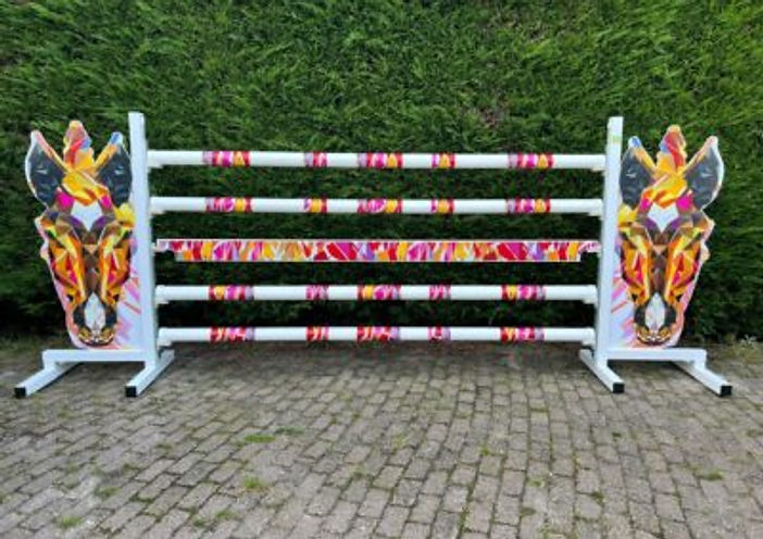 Wedstrijdhindernis Prisma 180 x 75 cm