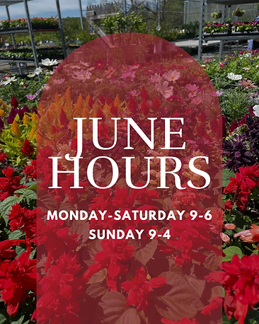 June hours (1).png