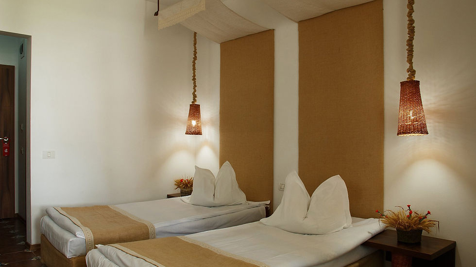 hotel 2D 1 abajururi impletite din rachita