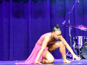 Showcasing Fairfax County Artists