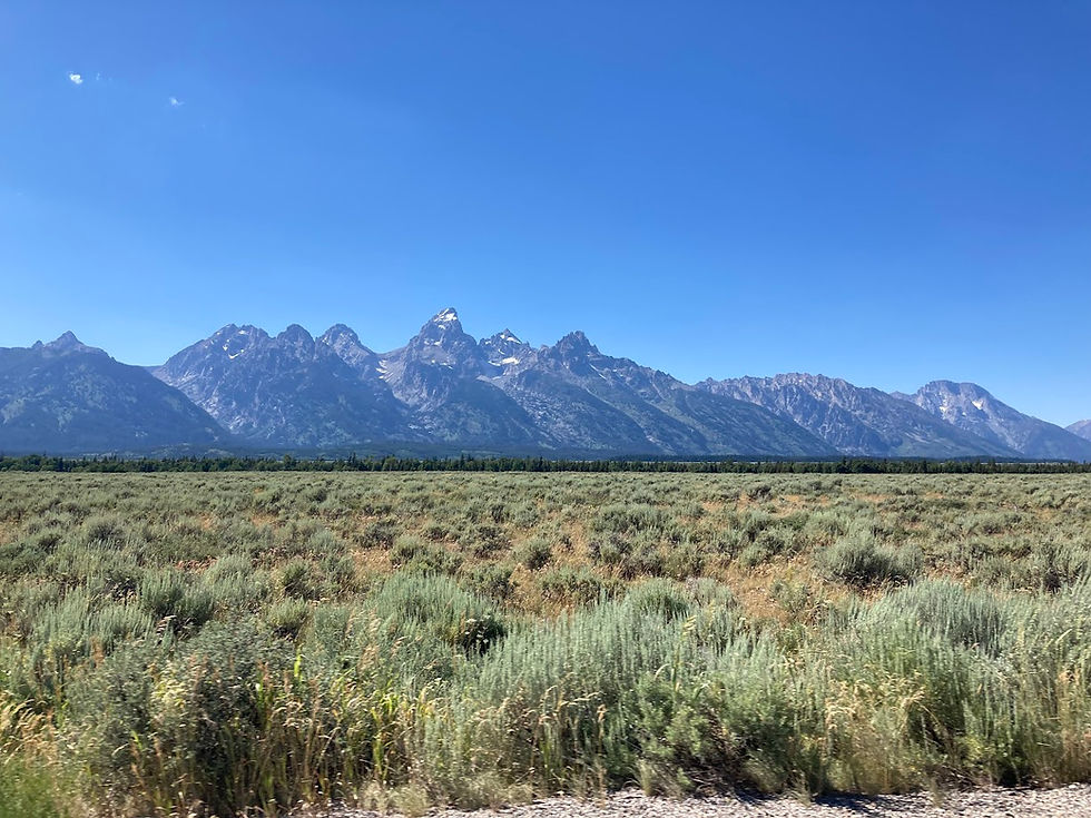 Blog Background RC Wesbite.jpg