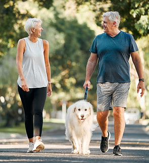 couple talking and taking the dog for a walk