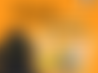 Traitor at the Beeches poster