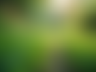 Wie alte Überlebensstrategien dein heutiges Leben steuern (ohne dass du es merkst)